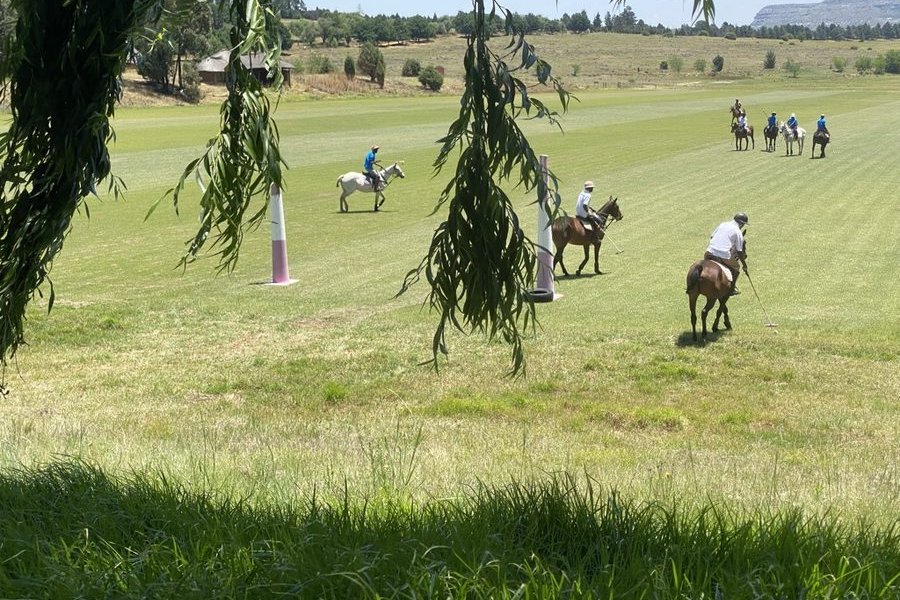 Polo on the A field