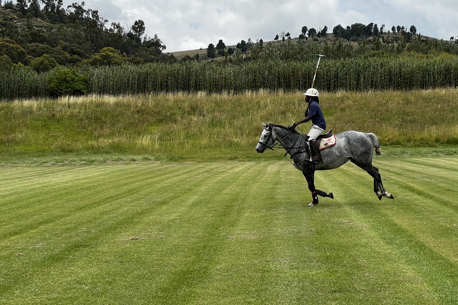 Player on grey pony